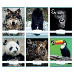 Vegyes mintás tűzött füzet A/4, 32 lap, sima, Állatos minták, Nebulo