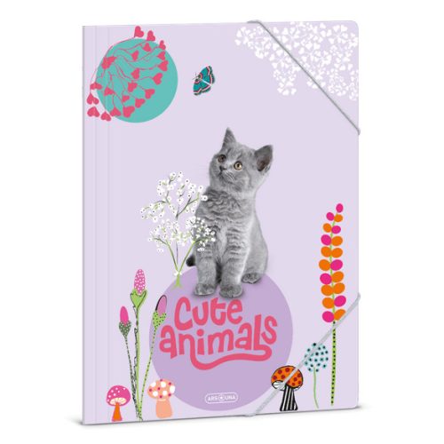 Cuki állatok gumis mappa A/4, kitten, cicás