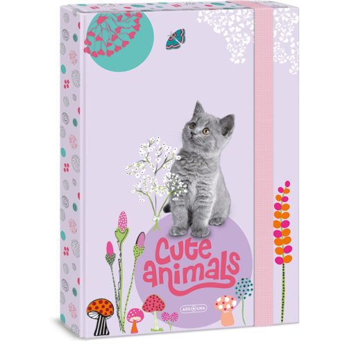 Cuki állatok füzetbox A/4, kitten, cicás