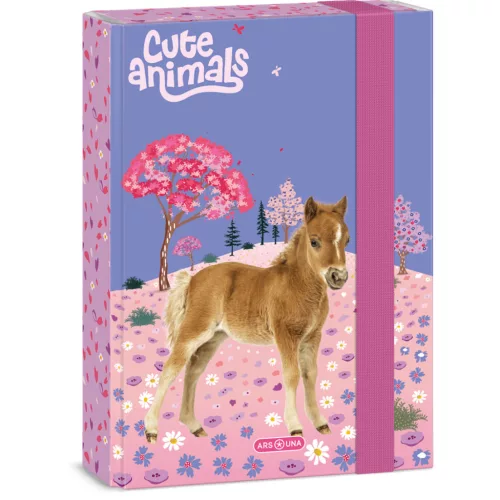 Lovas füzetbox A/5, Ars Una, Horse