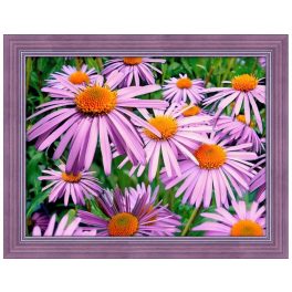 Gyémántfestés szett, lila kamilla, 40x30cm