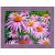 Gyémántfestés szett, lila kamilla, 40x30cm