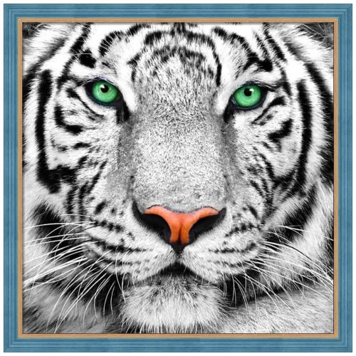 Gyémántfestés szett, fehér tigris, 25x25cm