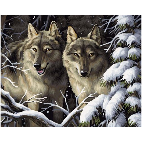 Festés számok szerint, farkasok, 40x50cm
