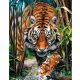 Gyémántfestés szett, tigris a dzsungelben, 38x48cm