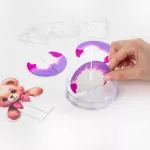 Varázslatos kristályos maci, Crystal Bear, Kidea