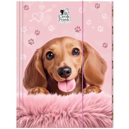 Cleo and Frank gumis mappa A/4, CF46, kutyás