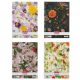 Herlitz spirál füzet A/4, kockás, 70 lapos, Flower, többféle