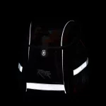 OXY Premium Light mágneszáras iskolatáska szett tolltartóval és tornazsákkal, Dino