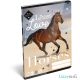 Lovas tűzött füzet A/5, 32 lap vonalas 2.osztály (16-32), Wild Beauty Love, barna ló