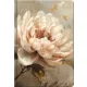 Bertelli xlarge tervező, B/5, heti, 2027, Floral baroque - Unique