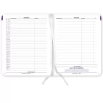Plan All classic tervező, B/5, heti, 2027, Perfect nails aura