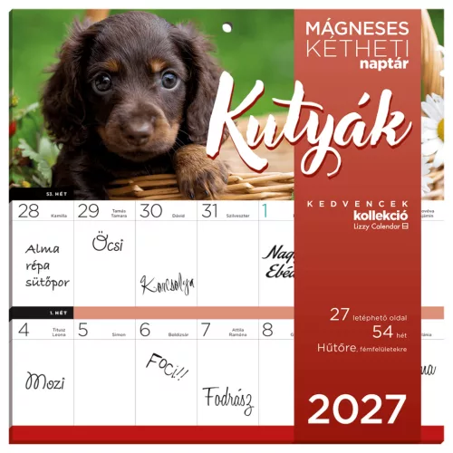 Lizzy Calendar mágneses, kétheti tervezőnaptár, 22x22cm, 2027, Kutyák 
