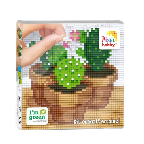 Pixel szett 4 db kis alaplappal, kaktusz