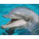Pixel szett 1 normál alaplappal, színekkel, delfin