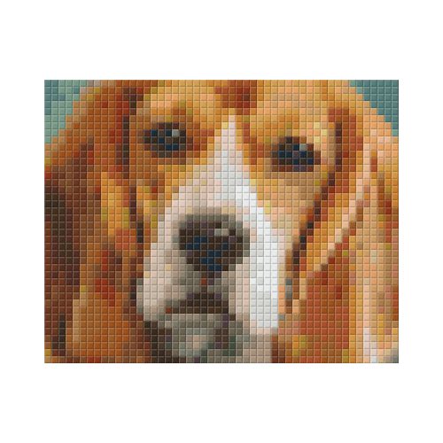Pixel szett 1 normál alaplappal, színekkel, kutya, basset hound, 801301