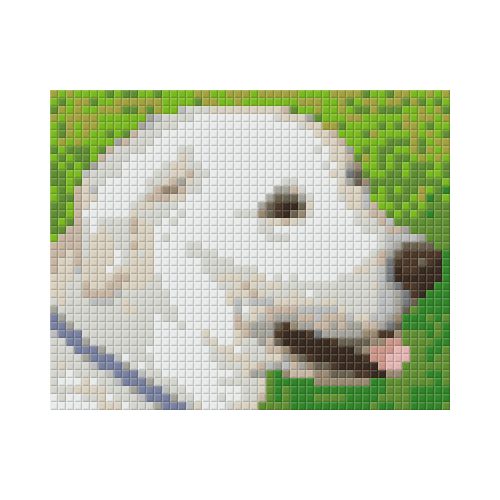 Pixel szett 1 normál alaplappal, színekkel, kutya, labrador