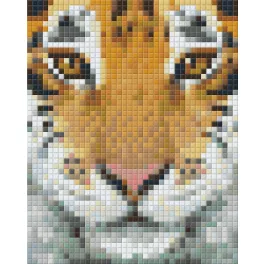 Pixel szett 1 normál alaplappal, színekkel, tigris