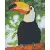 Pixel szett 1 normál alaplappal, színekkel, tukán, (801317)