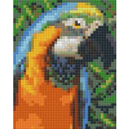 Pixel szett 1 normál alaplappal, színekkel, papagáj, (801328)