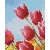 Pixel szett 1 normál alaplappal, színekkel, tulipánok, (801332)