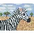 Pixel szett 1 normál alaplappal, színekkel, zebra