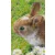 Pixel szett 2 normál alaplappal, színekkel, nyuszi