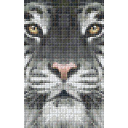 Pixel szett 2 normál alaplappal, színekkel, tigris