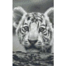 Pixel szett 2 normál alaplappal, színekkel, tigriskölyök