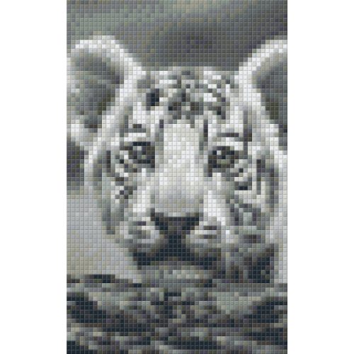 Pixel szett 2 normál alaplappal, színekkel, tigriskölyök