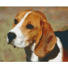 Pixel szett 4 normál alaplappal, színekkel, kutya, beagle