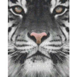 Pixel szett 4 normál alaplappal, színekkel, tigris
