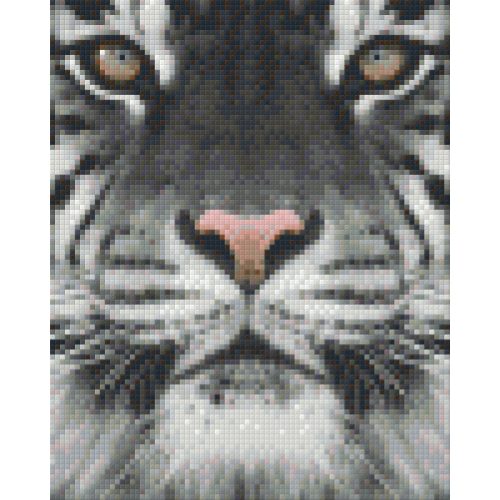 Pixel szett 4 normál alaplappal, színekkel, tigris