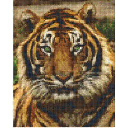   Pixel szett 4 normál alaplappal, színekkel, tigris (804156)