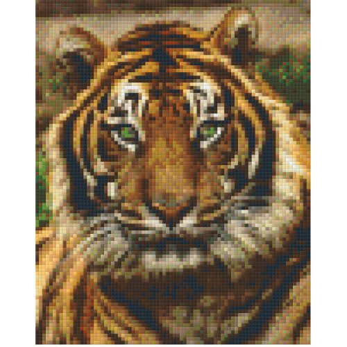Pixel szett 4 normál alaplappal, színekkel, tigris (804156)