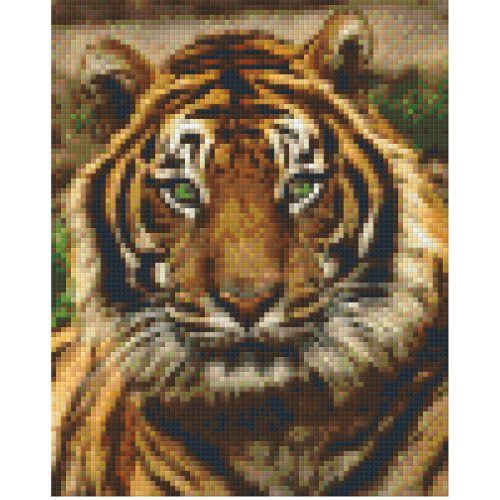 Pixel szett 4 normál alaplappal, színekkel, tigris (804156)