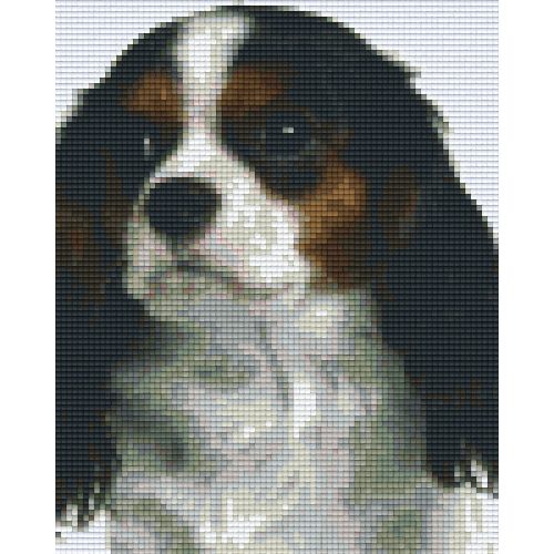 Pixel szett 4 normál alaplappal, színekkel, kutya, beagle (804208)