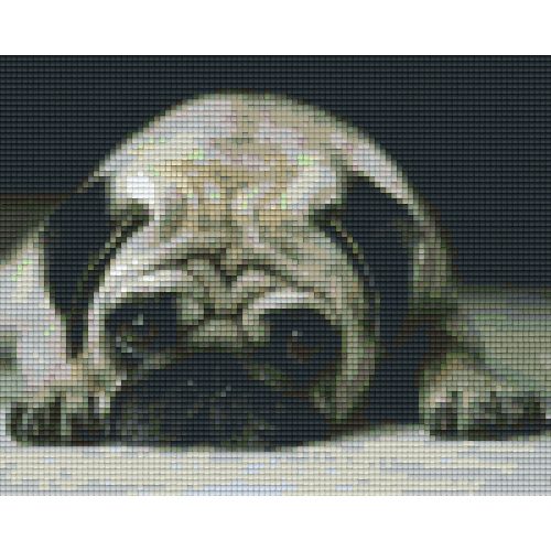 Pixel szett 4 normál alaplappal, színekkel, kutya, bulldog