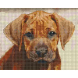  Pixel szett 4 normál alaplappal, színekkel, kutyakölyök (804447)