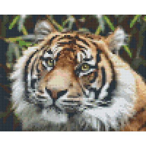 Pixel szett 4 normál alaplappal, színekkel, tigris (804460)
