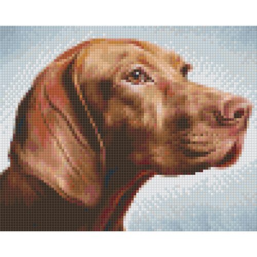Pixel szett 4 normál alaplappal, színekkel, kutya, vizsla