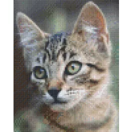 Pixel szett 4 normál alaplappal, színekkel, cica (804467)