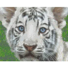 Pixel szett 4 normál alaplappal, színekkel, tigriskölyök