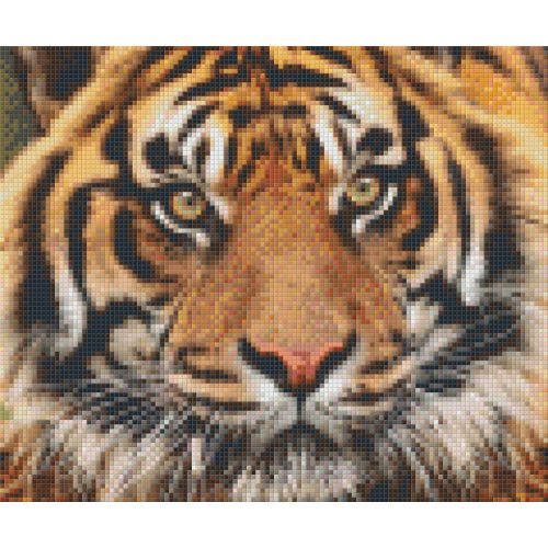 Pixel szett 6 normál alaplappal, színekkel, tigris (806141)