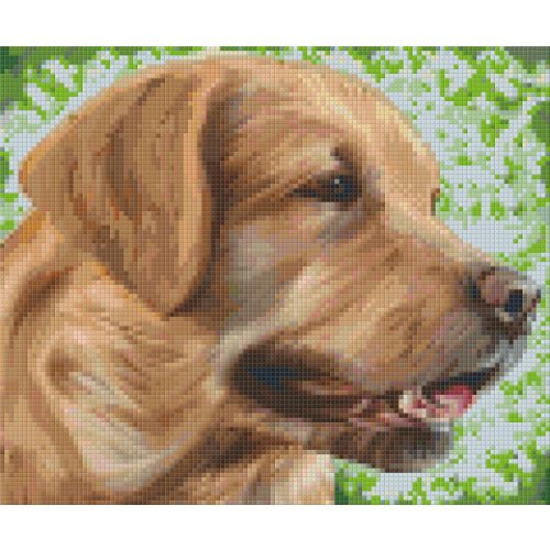 Pixel szett 6 normál alaplappal, színekkel, kutya, retriever