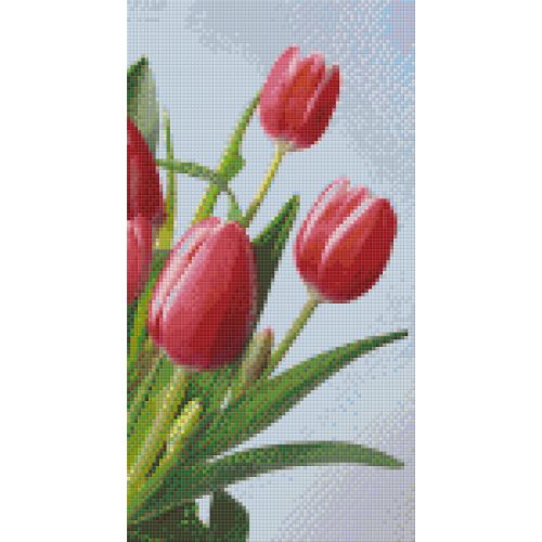 Pixel szett 6 normál alaplappal, színekkel, tulipánok