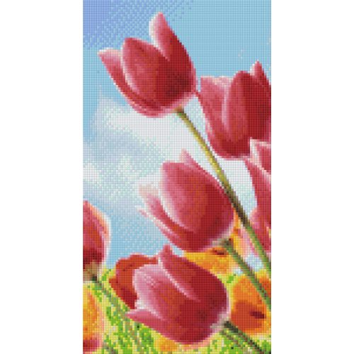Pixel szett 6 normál alaplappal, színekkel, tulipánok a réten