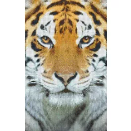 Pixel szett 6 normál alaplappal, színekkel, tigris