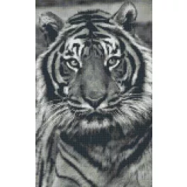   Pixel szett 8 normál alaplappal, színekkel, tigris (808086)