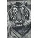 Pixel szett 8 normál alaplappal, színekkel, tigris (808086)